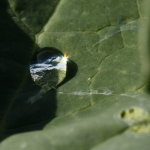 Der Anfang der Bilder